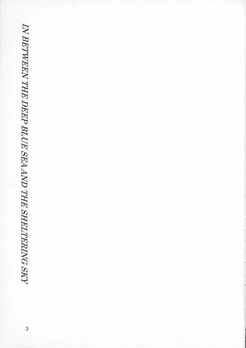 IN BETWEEN THE DEEP BLUE SEA AND THE SHELTERING SKY - page2