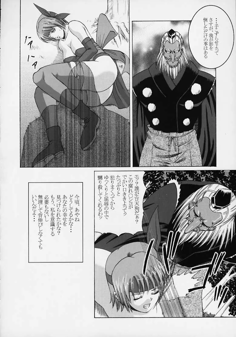 Kasumi Rengokugyou {Dead or Alive} - page19