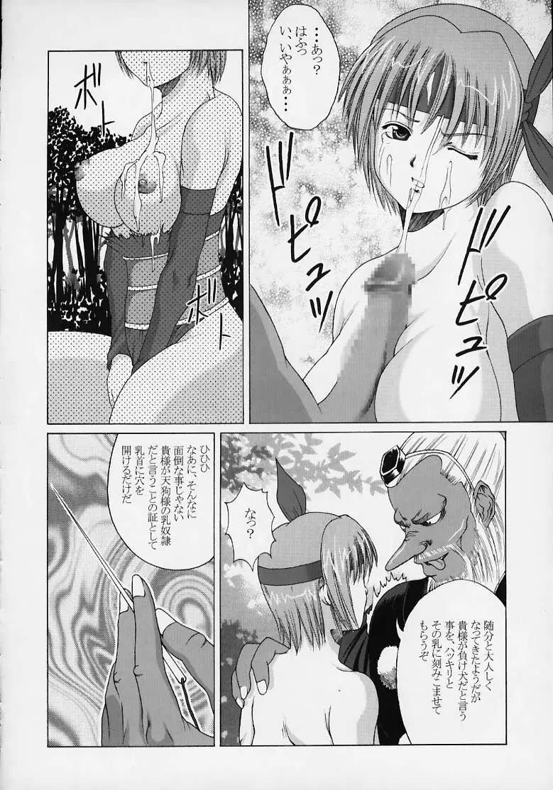 Kasumi Rengokugyou {Dead or Alive} - page27