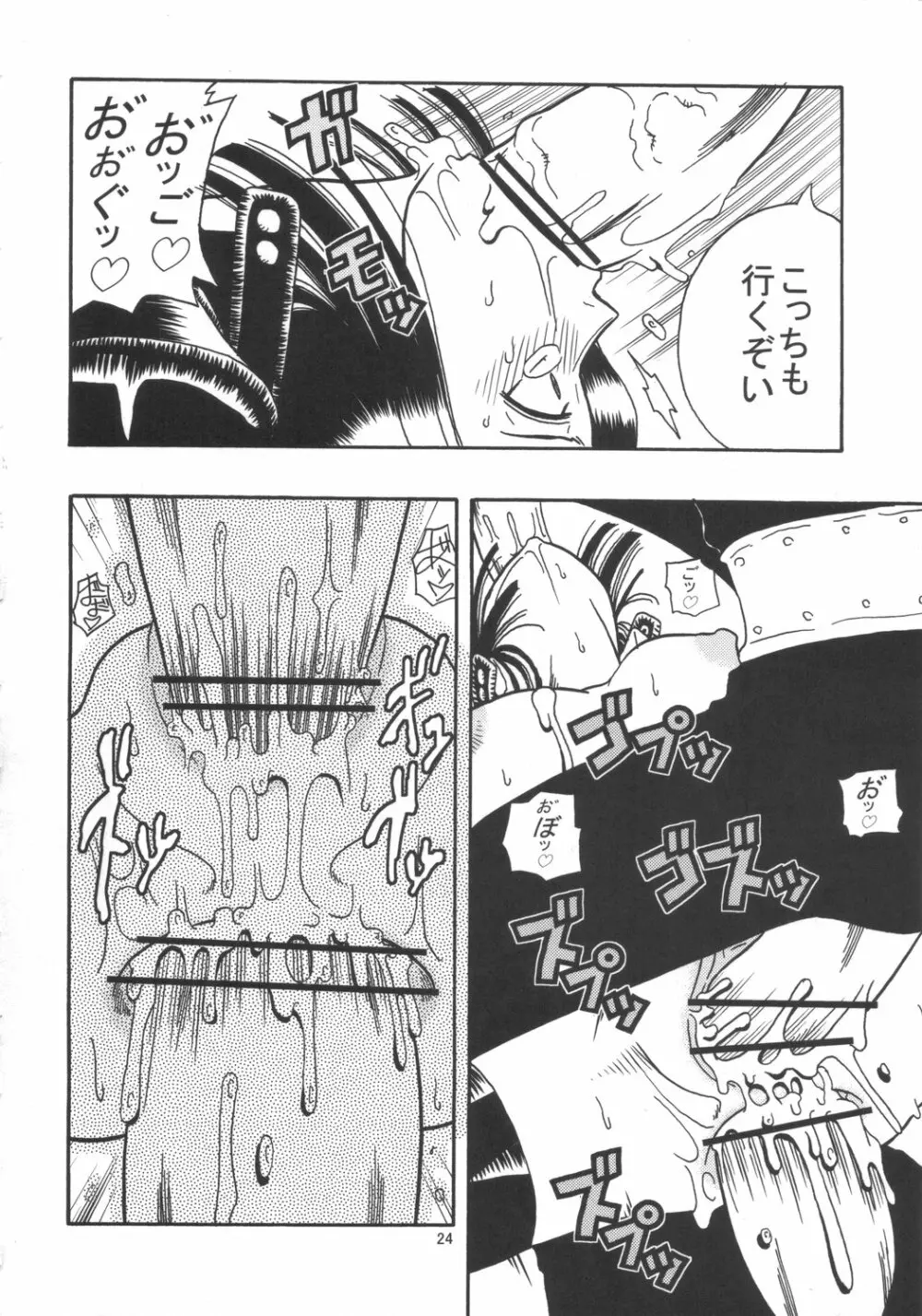 ROBIN SP - page25