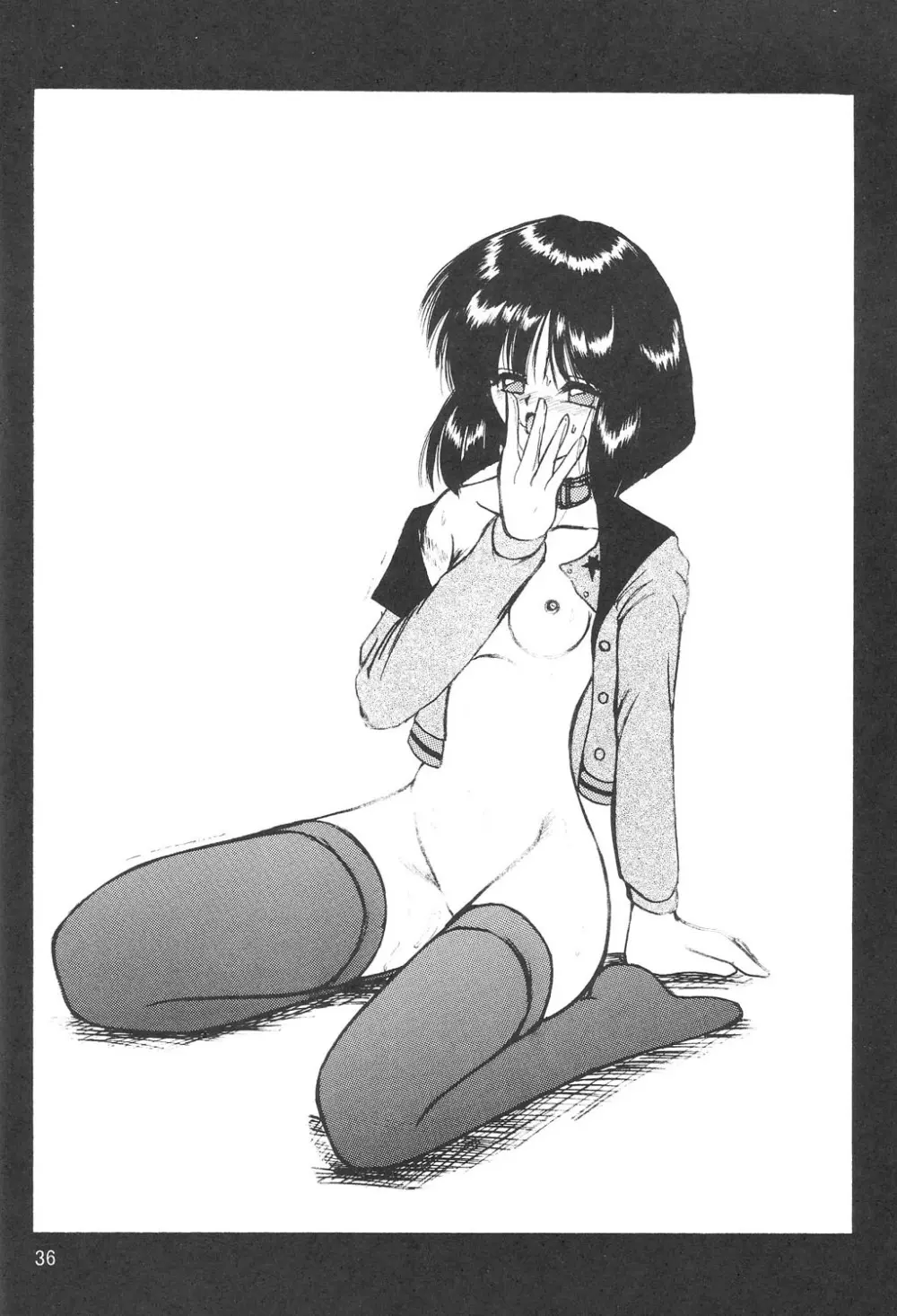 サイレント・サターン SS vol.8 - page35