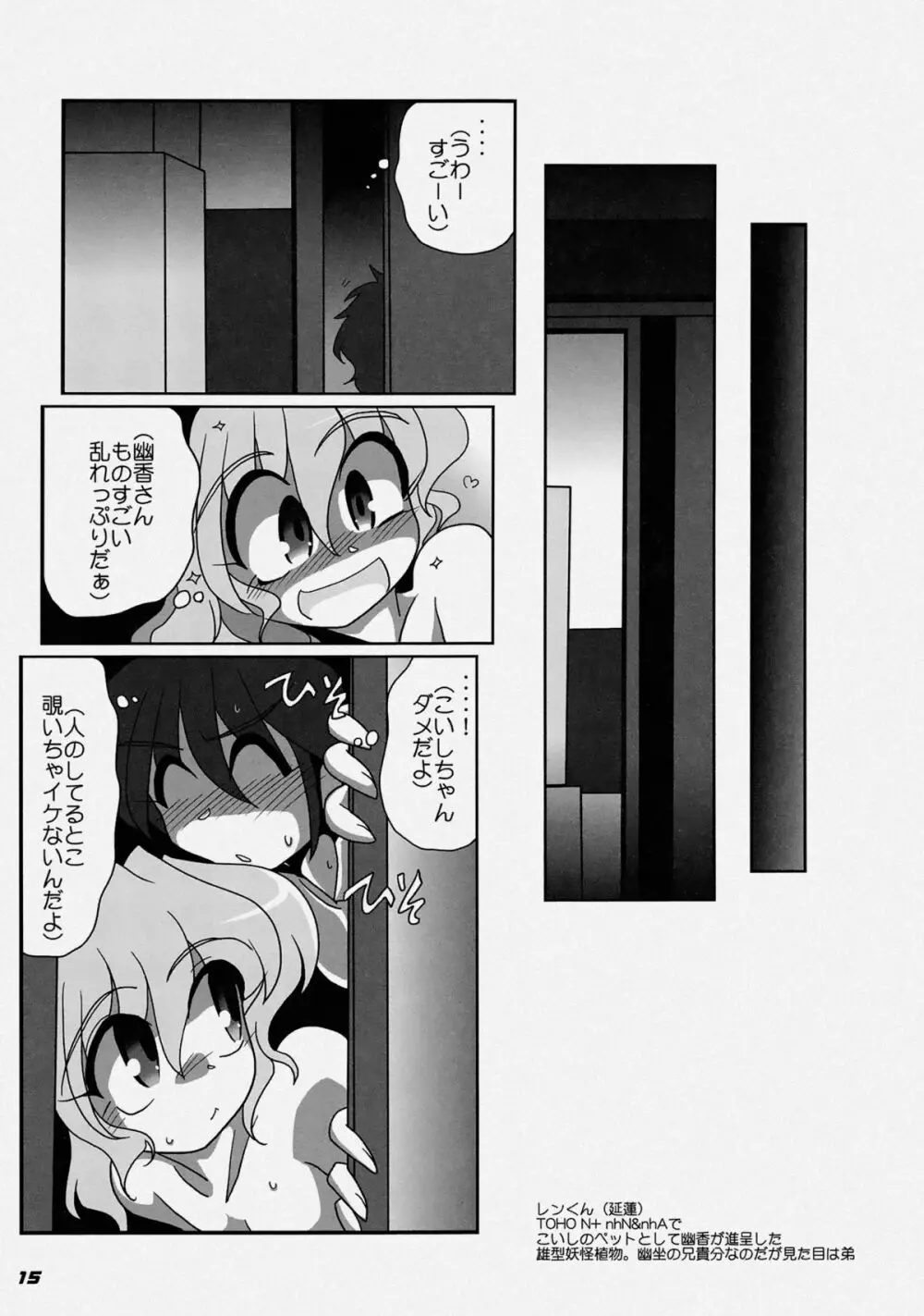 TOHO N+ LL&MSA Type-R - page18