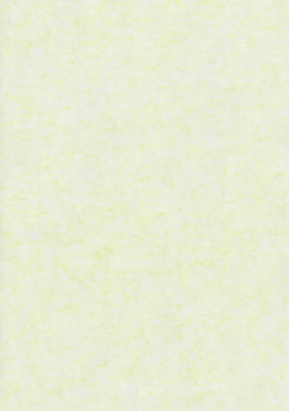 TOHO N+ LL&MSA Type-R - page2