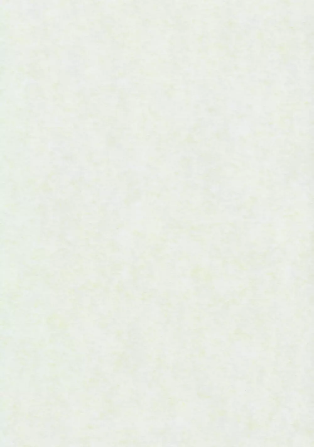 TOHO N+ LL&MSA Type-R - page3