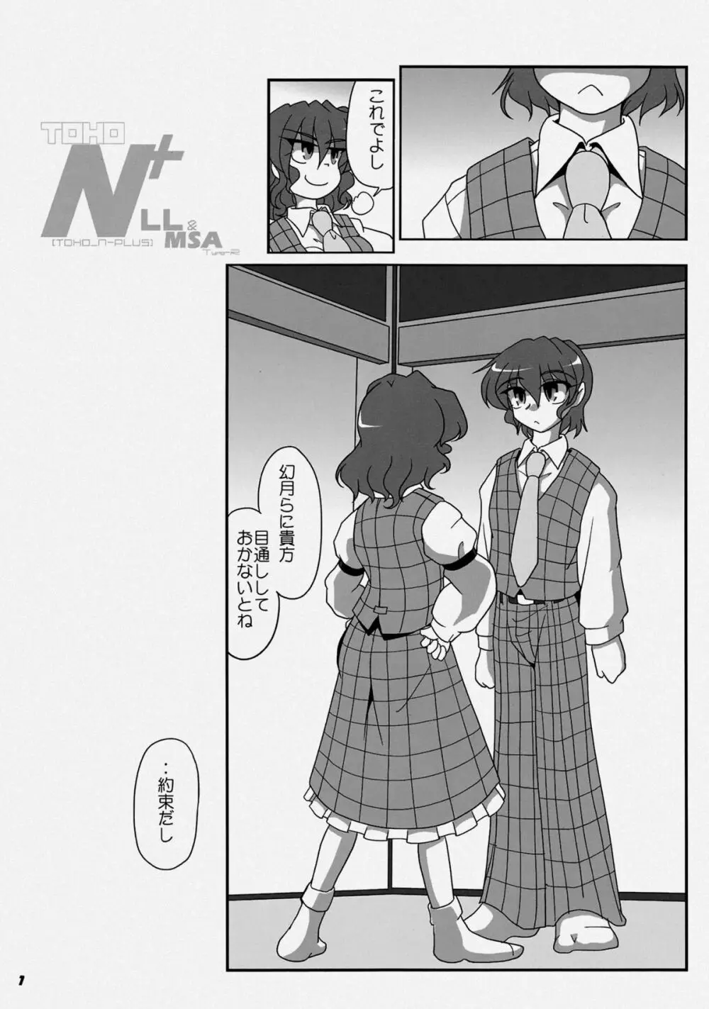 TOHO N+ LL&MSA Type-R - page4