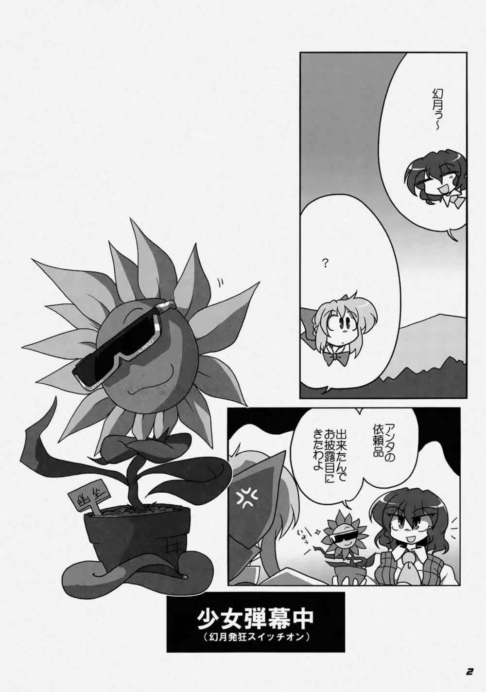 TOHO N+ LL&MSA Type-R - page5