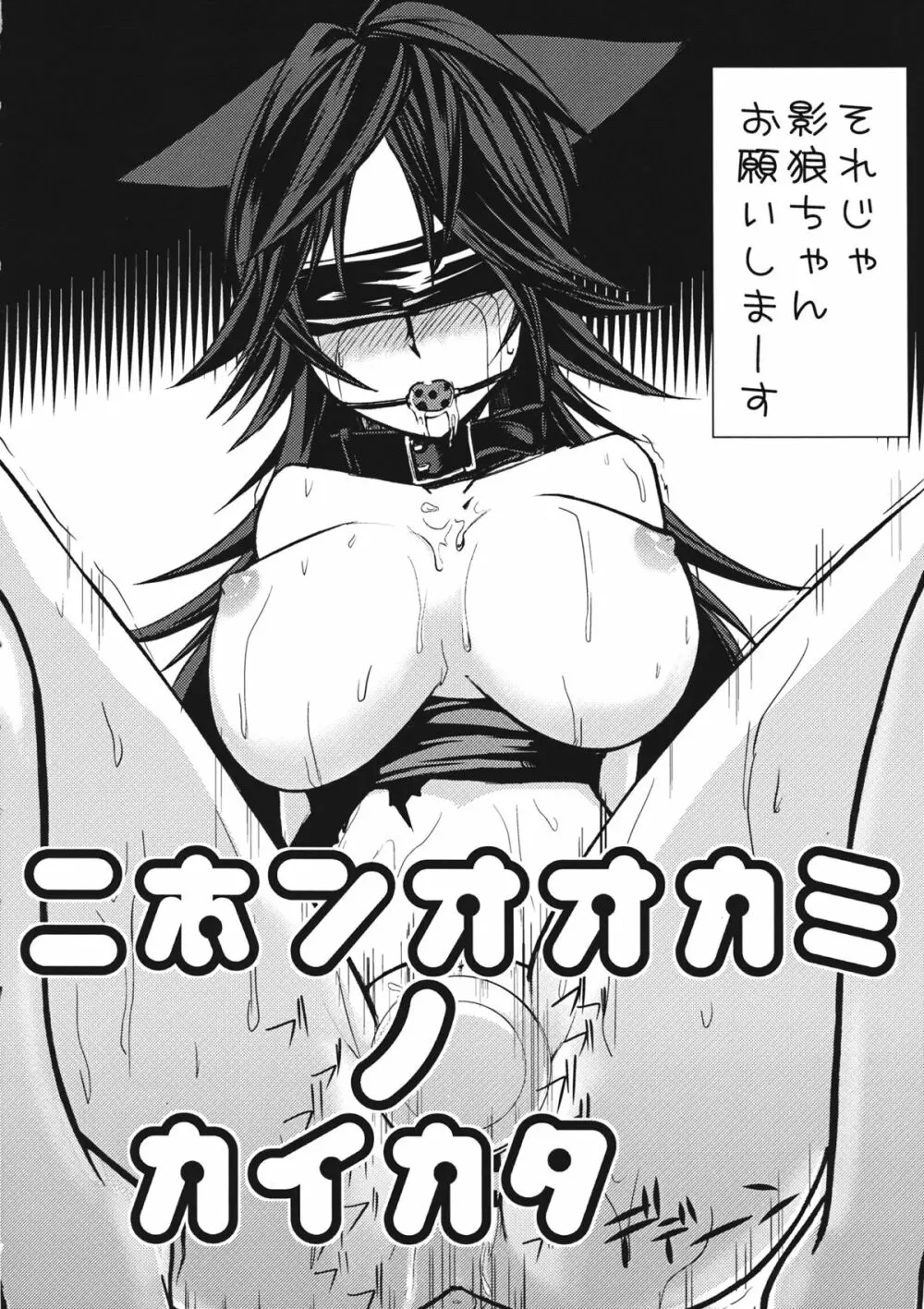 ニホンオオカミノカイカタ - page5