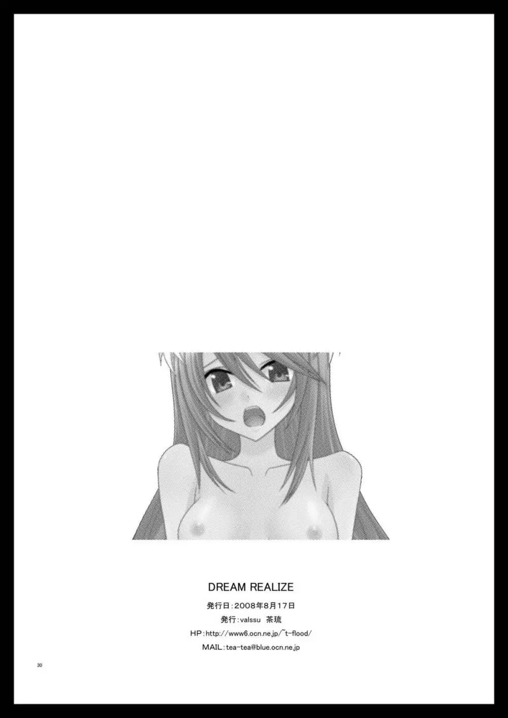 DREAM REALIZE - page29