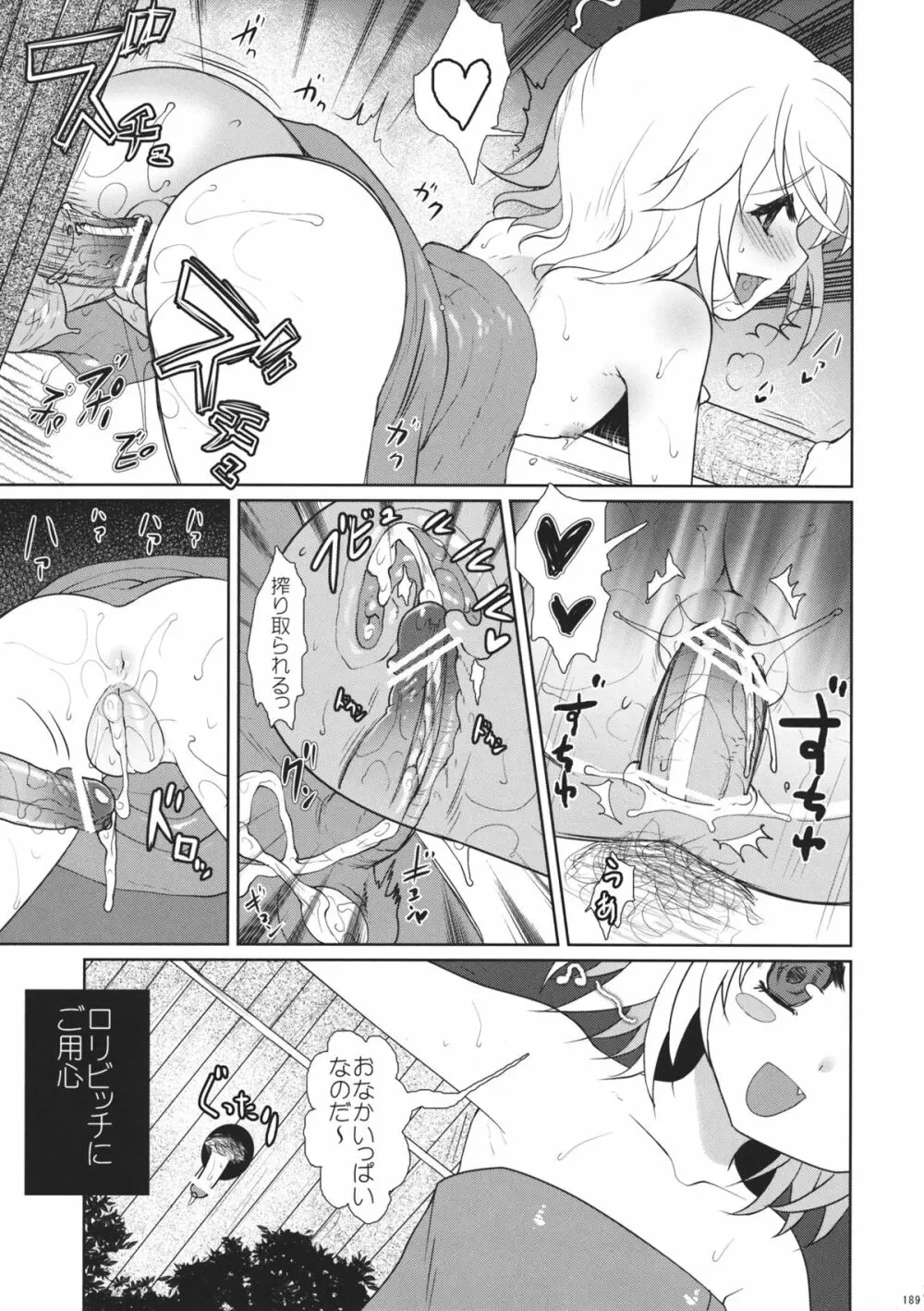 2010-2011まとめ本 2 - page188