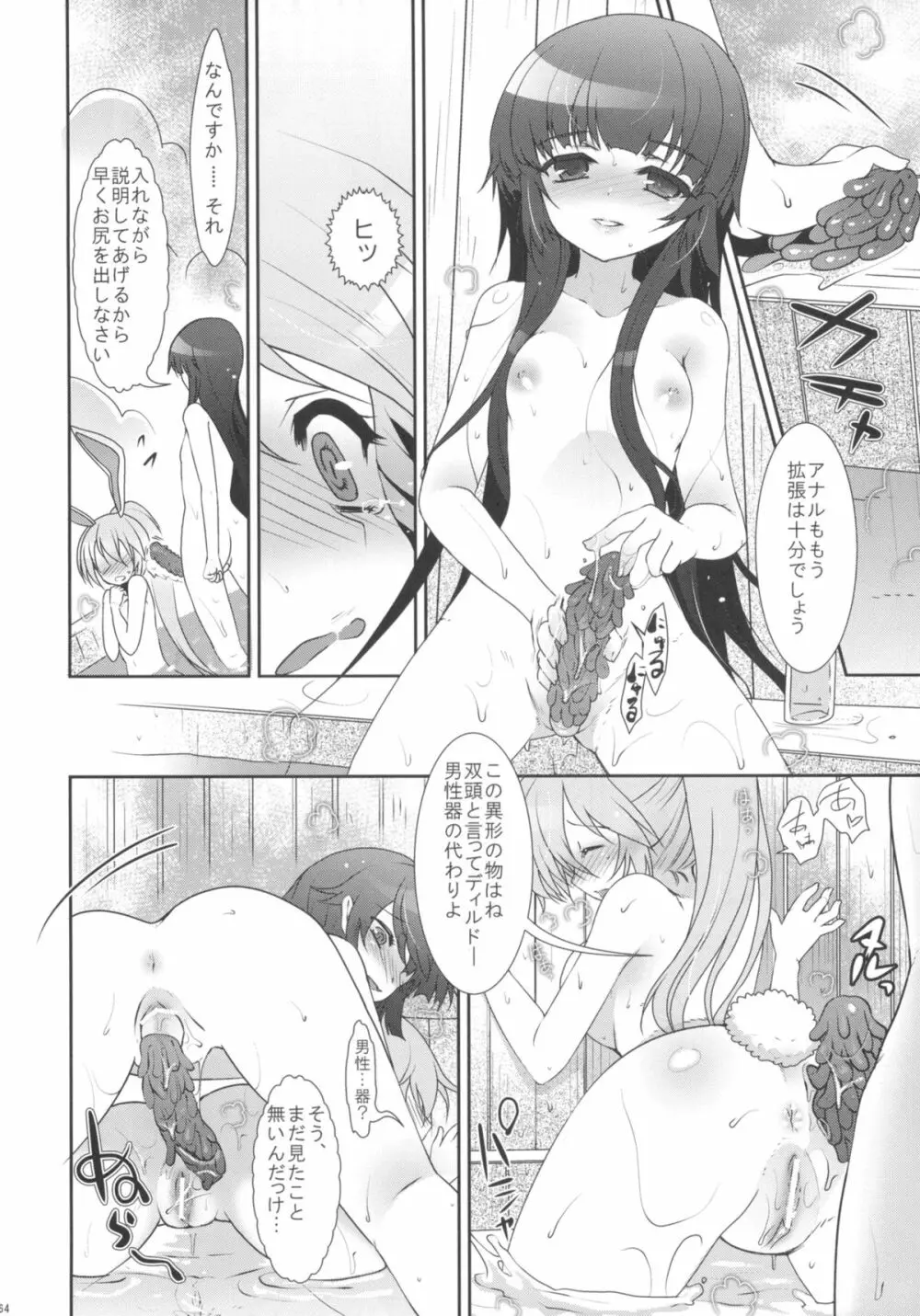 2010-2011まとめ本 2 - page63