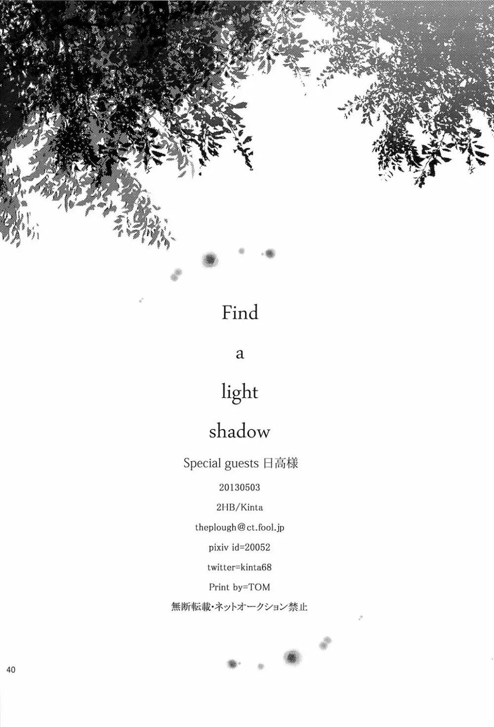 Find a light shadow - page40