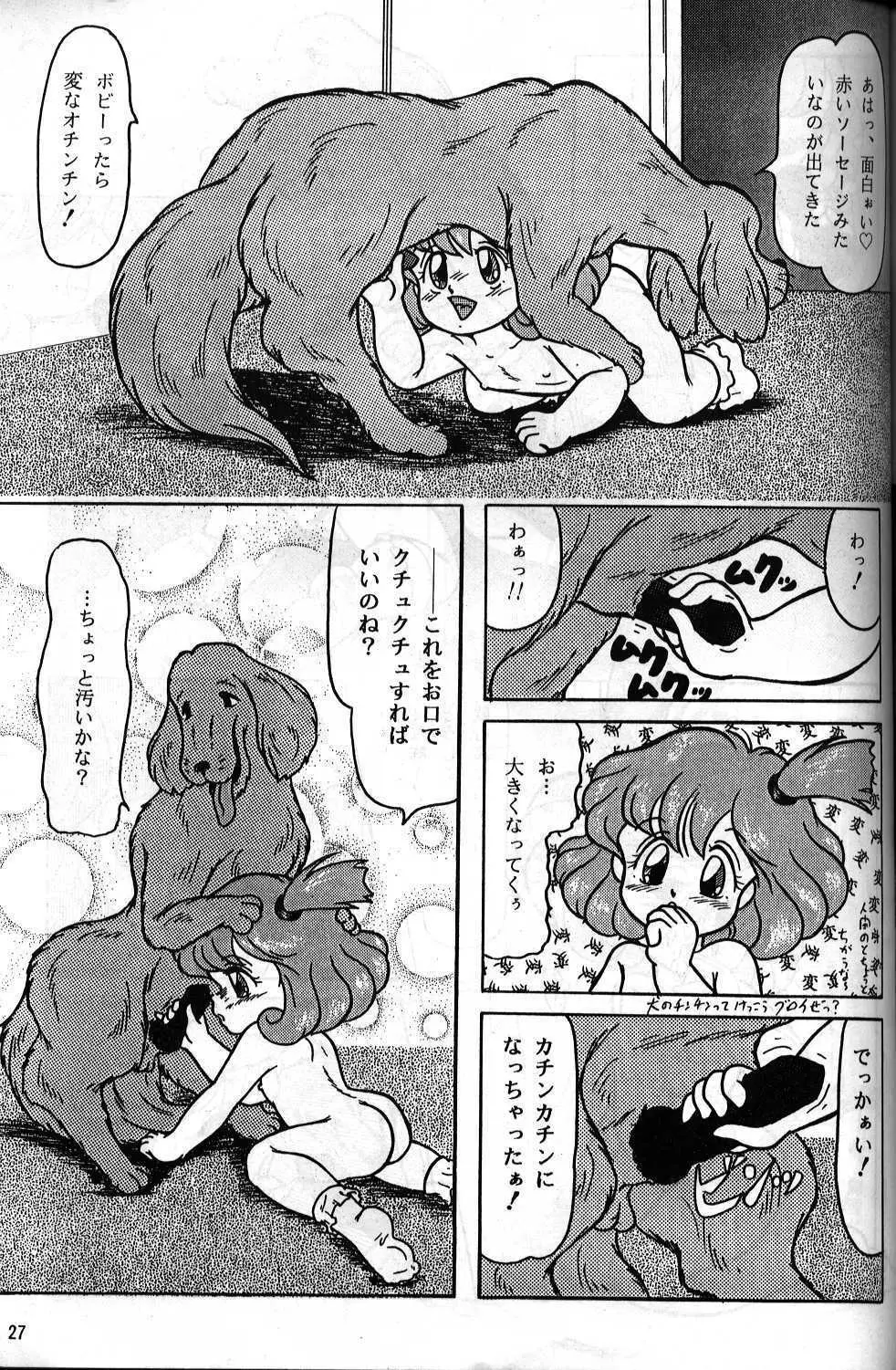 動物愛護じゅうかん - page24