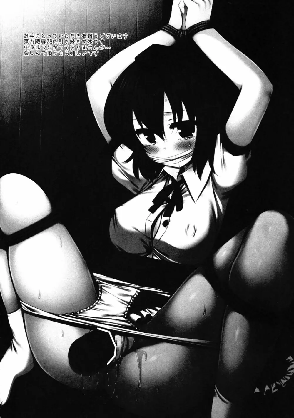 東方陵辱29 でっち上げ記事で恨みを買い監禁された文 - page4