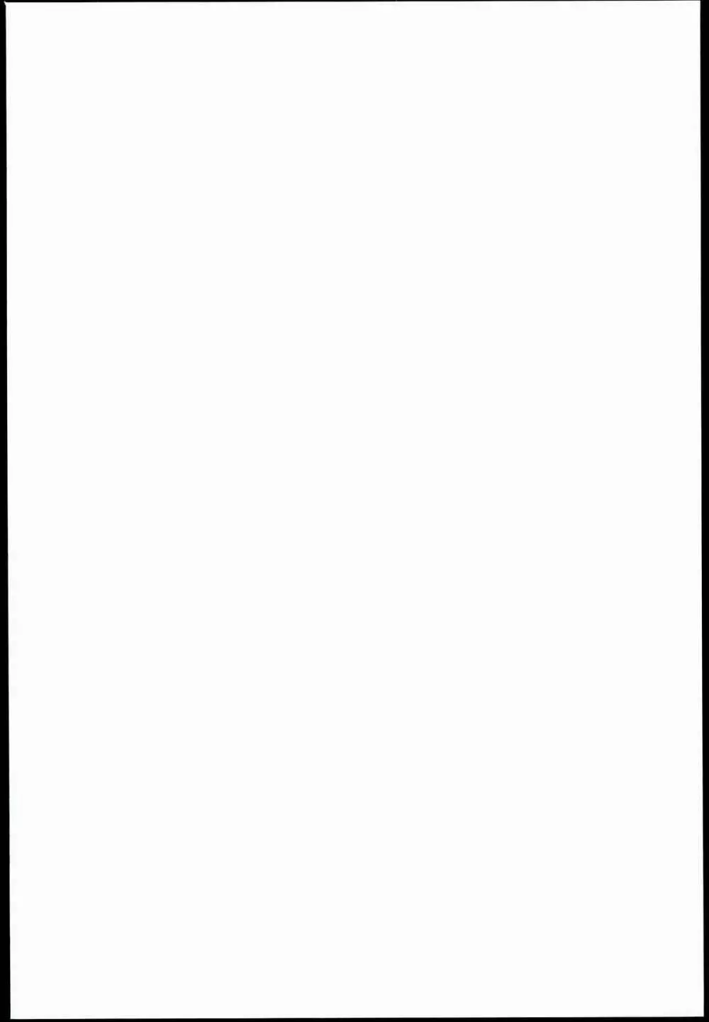悪堕ち島風2～エロ触手に堕とされる艦娘～ - page2