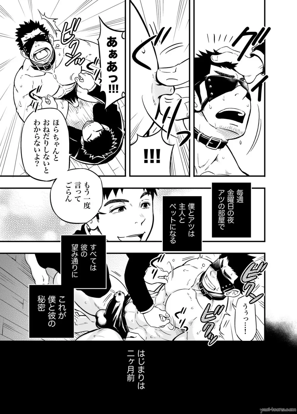 cage - page16