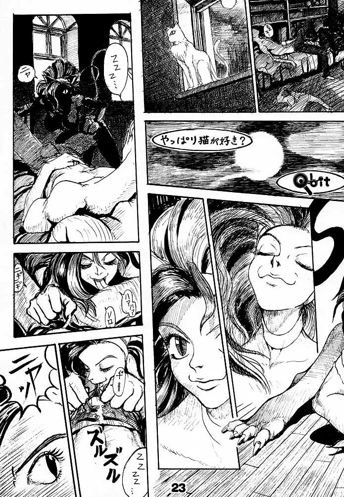 (C52) [Q-bit (Q-10)] Q-bit vol.2 - Savior? (ヴァンパイア) - page22