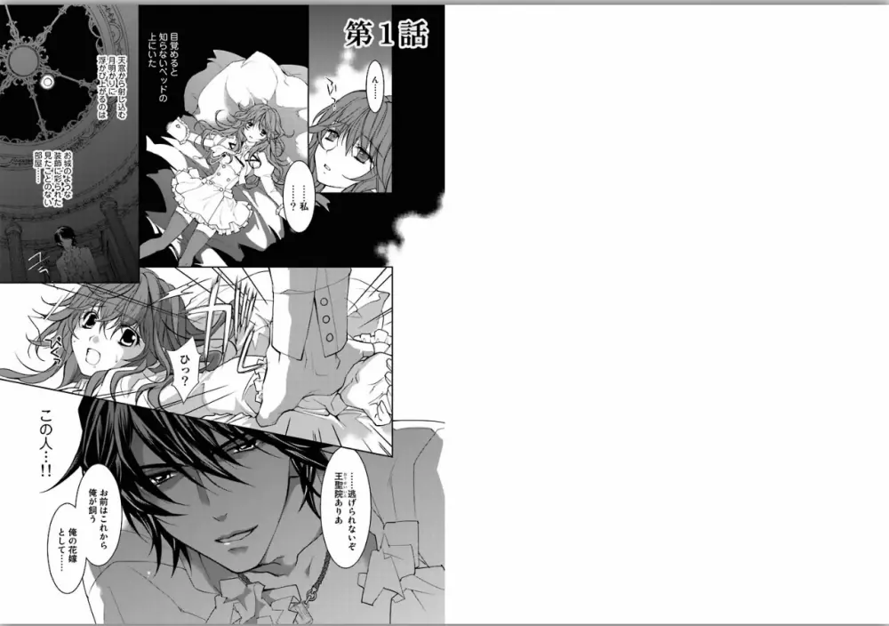 絶愛†皇帝～ドレイ姫に悪魔のキス～1 - page2