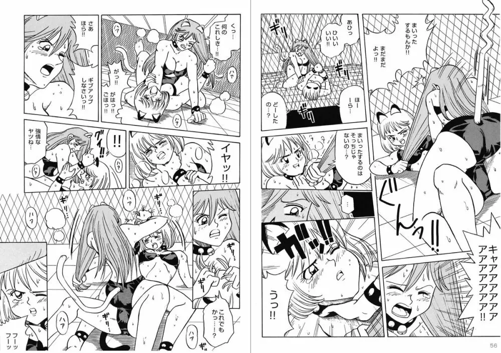 復刻版 美少女Fighting Vol 9 - page29