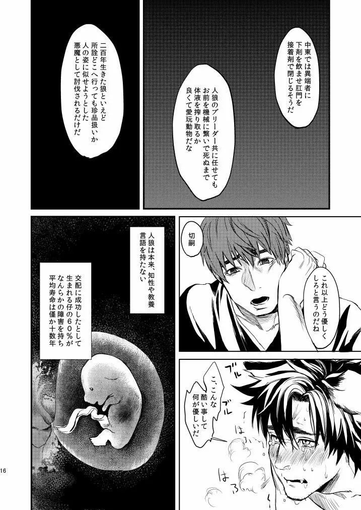 fate/wolf2 - page16