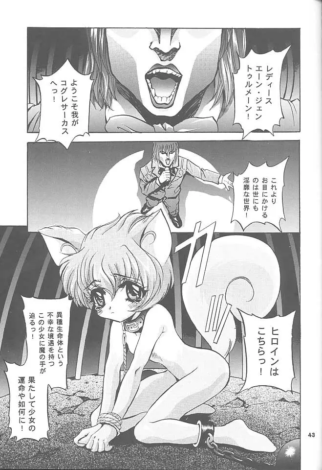 MOUSOU みにしあたー 3 - page42