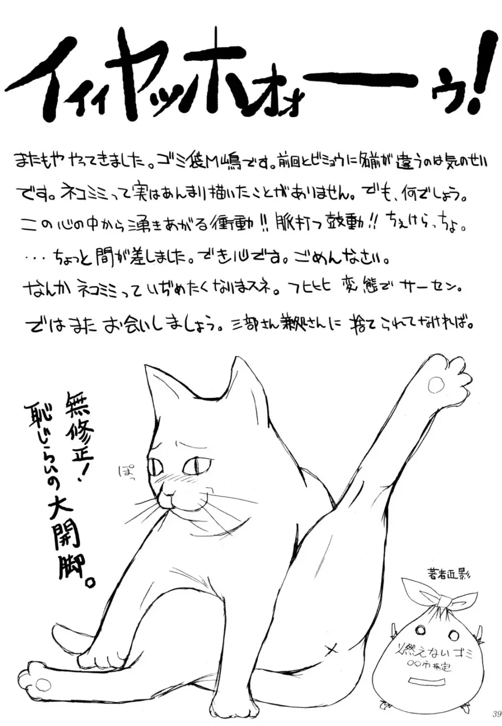 ねこみみっくす - page38