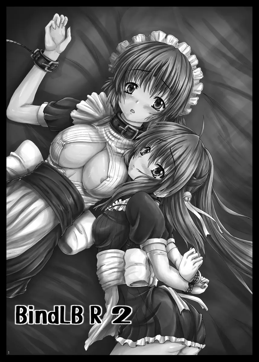 BindLB R2 - page2