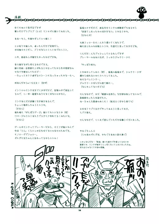 エロそうでエロくない少しエロいゼルダ - page14