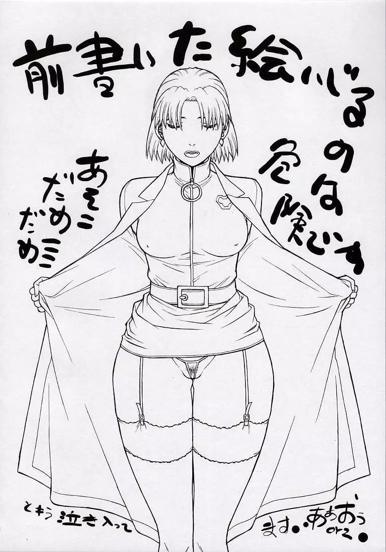 清域無き熟熟改革Ⅲ - page30