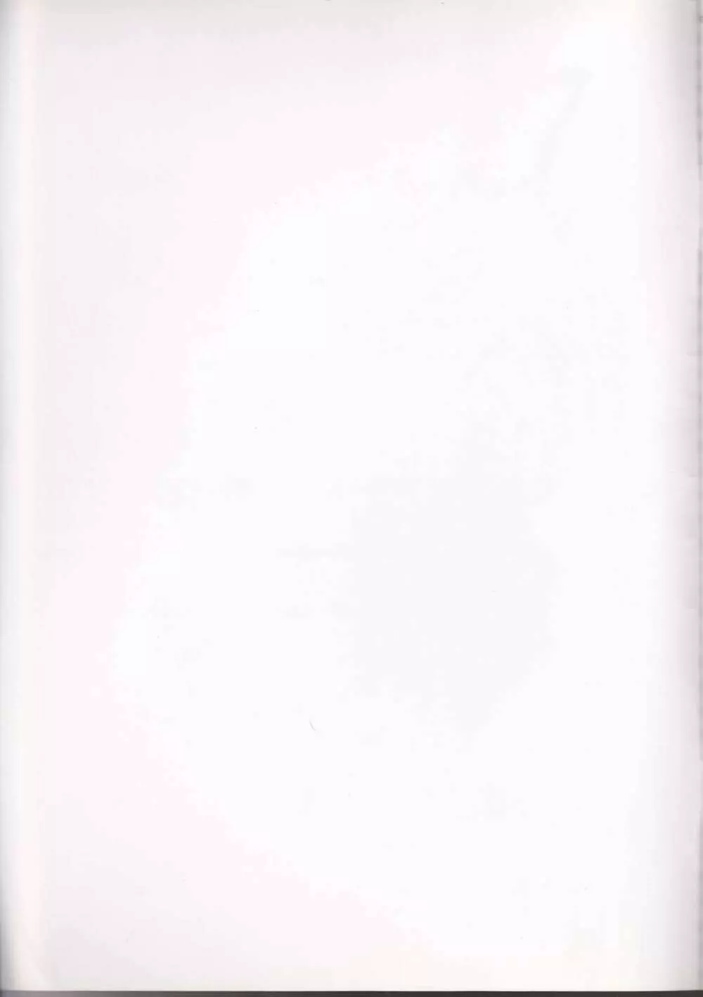 Dolce Rose - page2