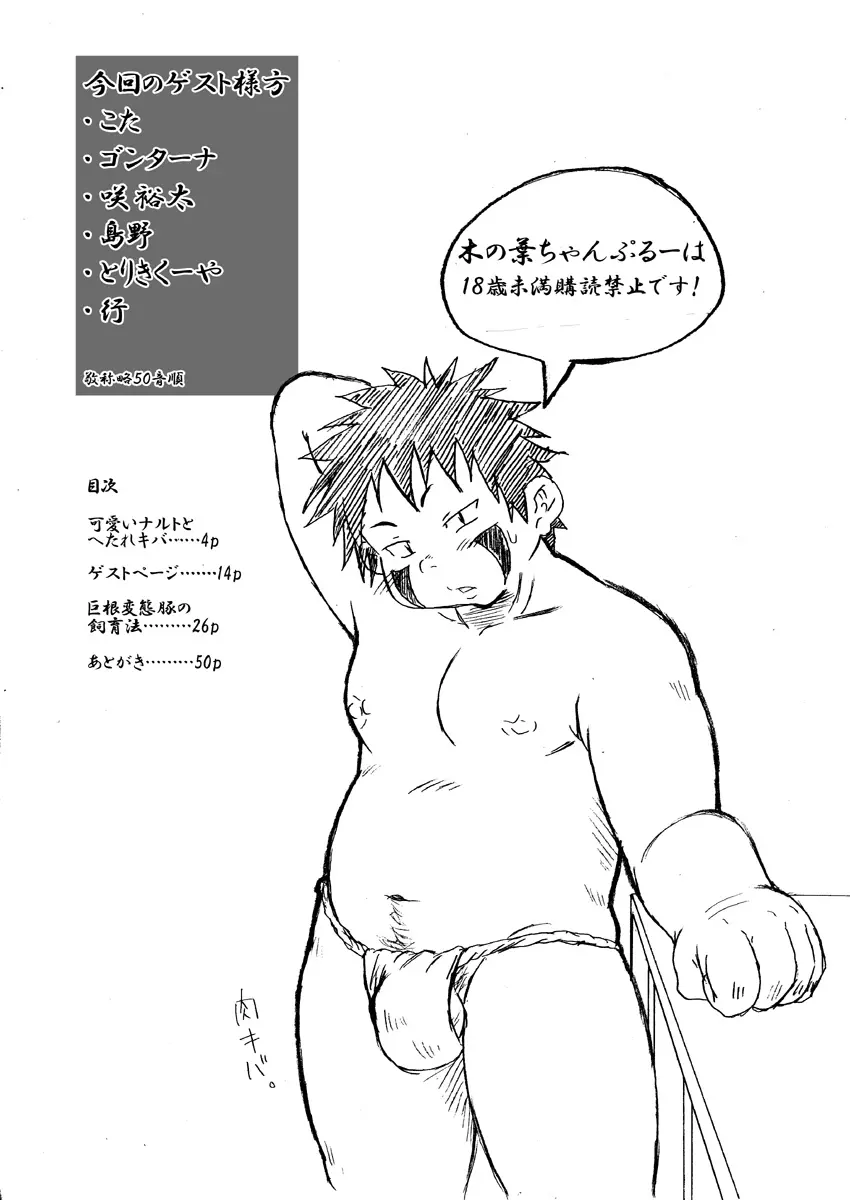 木の葉ちゃんぷるー - page3