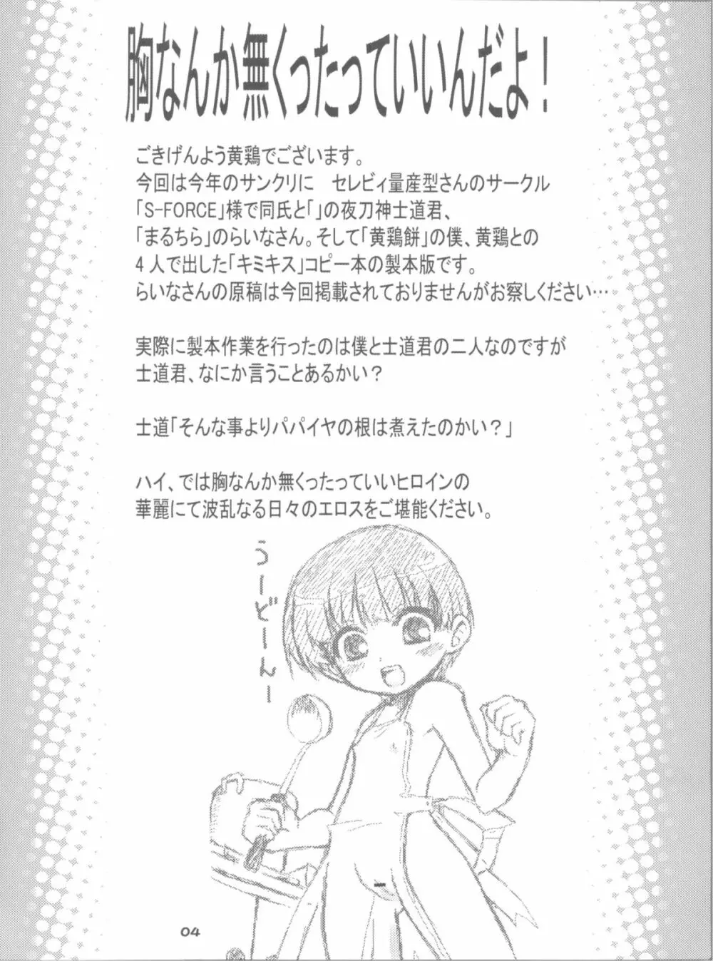 胸なんか無くたっていいんだよ! - page4