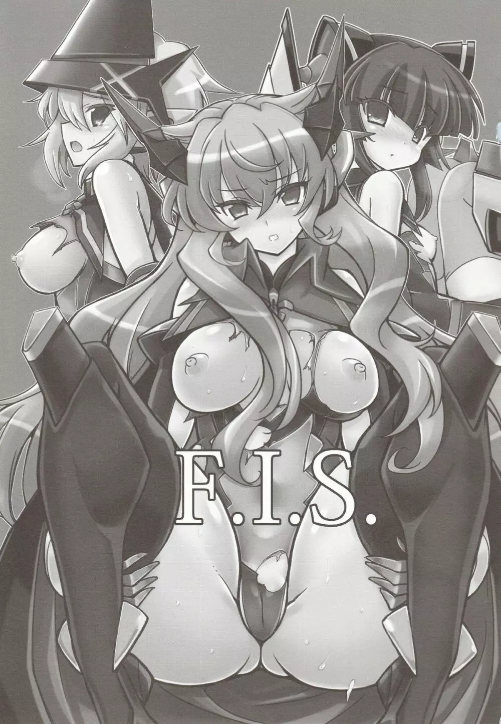 F.I.S. - page2