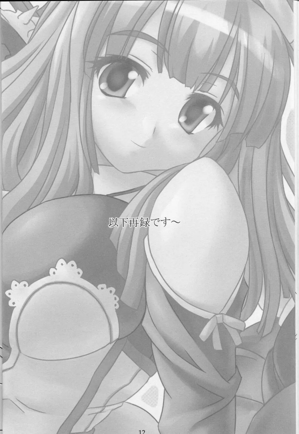 姉さんとえっち。 - page11