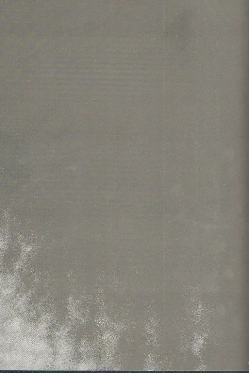 T-20 Fei Tas - page14