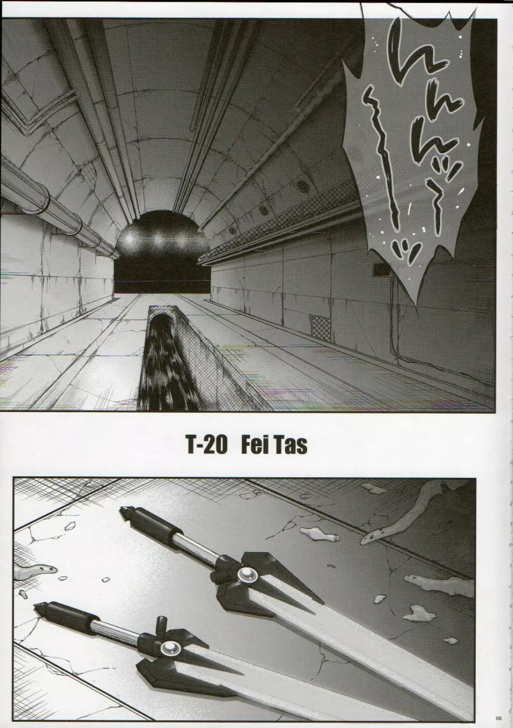 T-20 Fei Tas - page4