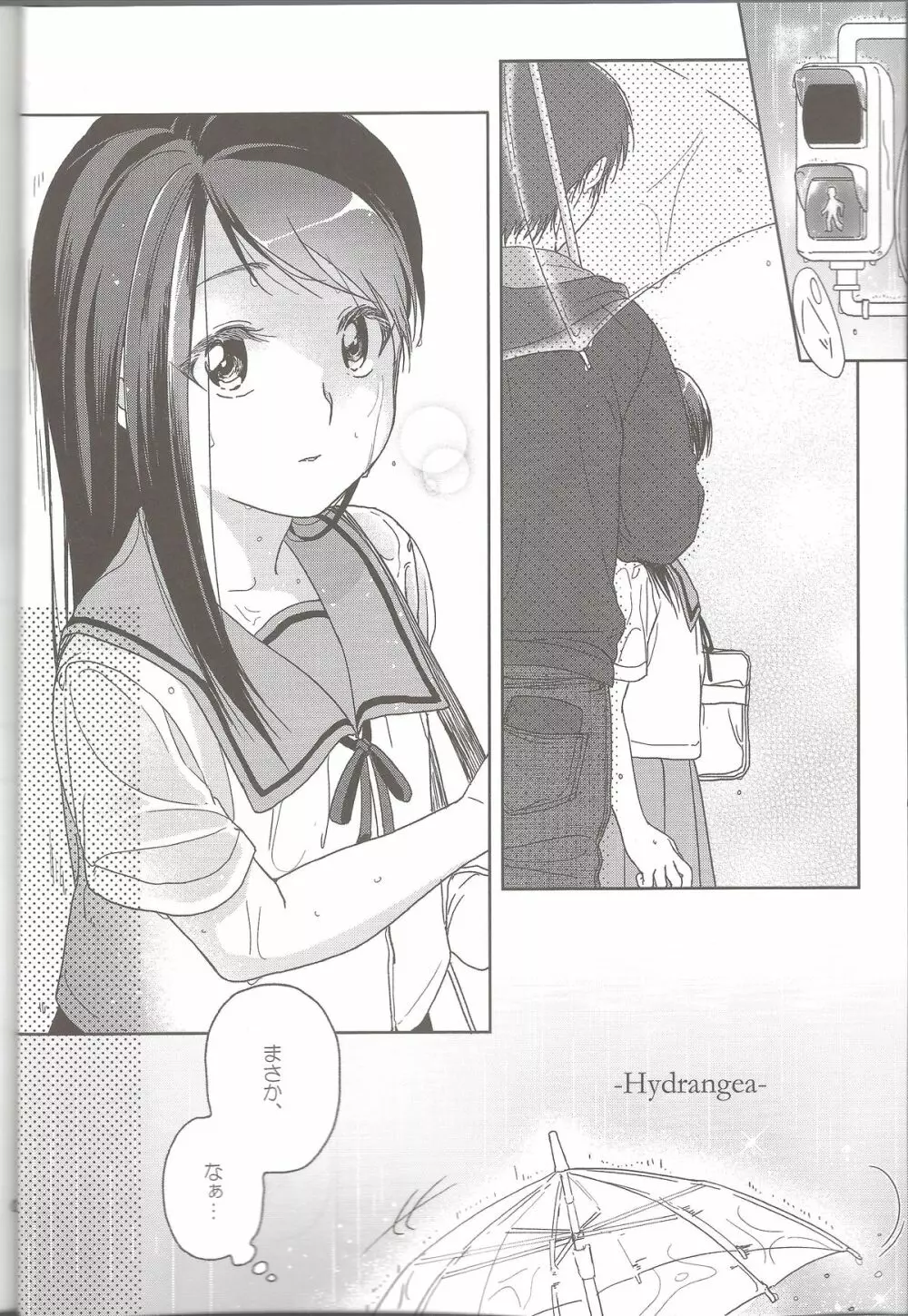 Hydrangea - page3
