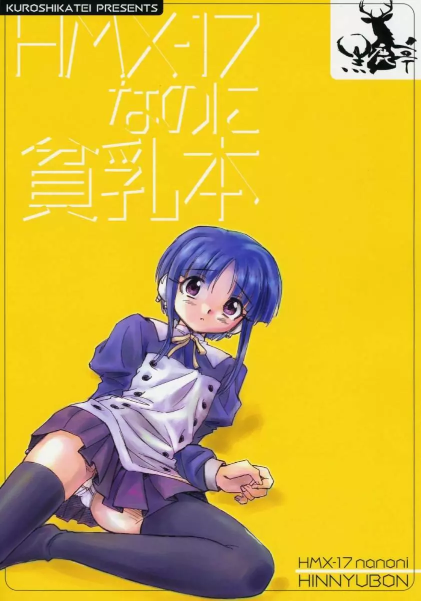 HMX-17なのに貧乳本 - page22