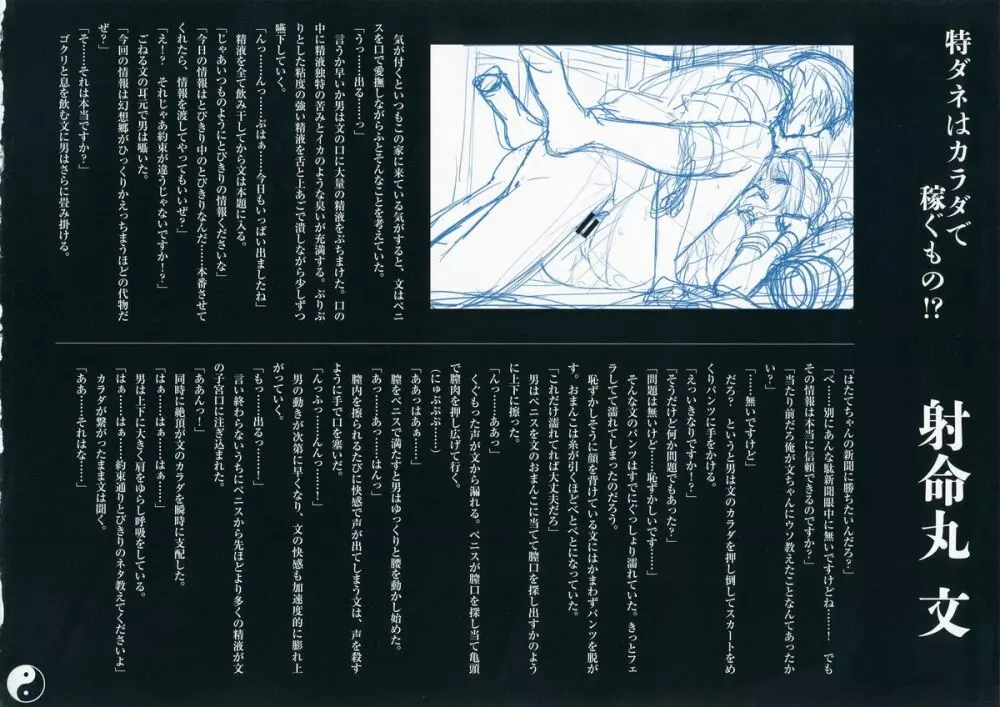 幻想郷淫行記録集 - page11