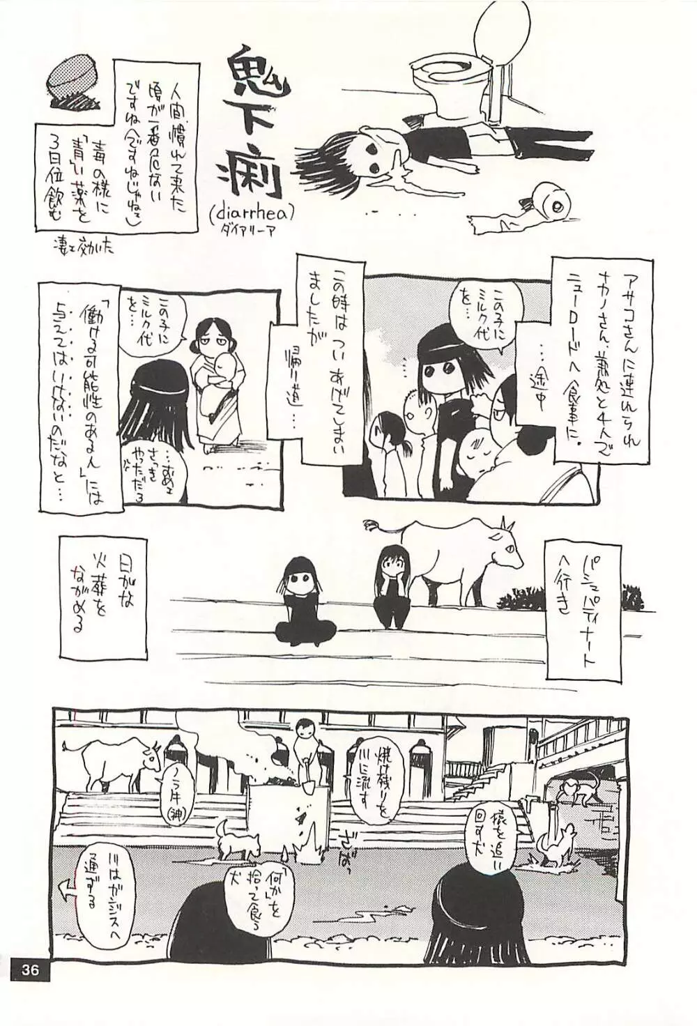 脳髄瓦版 非日常的な日常 NEPAL編 - page35