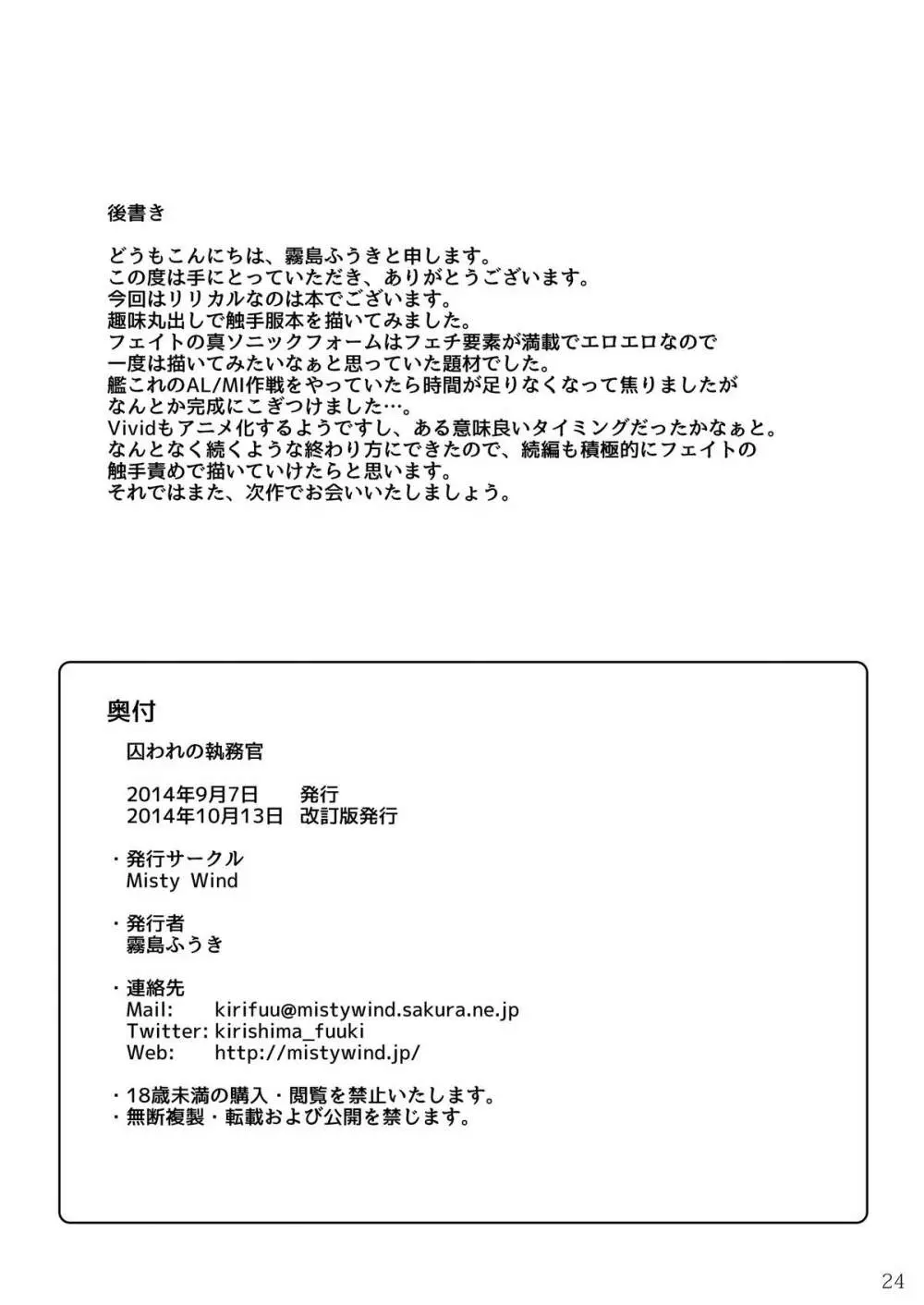 囚われの執務官 - page25