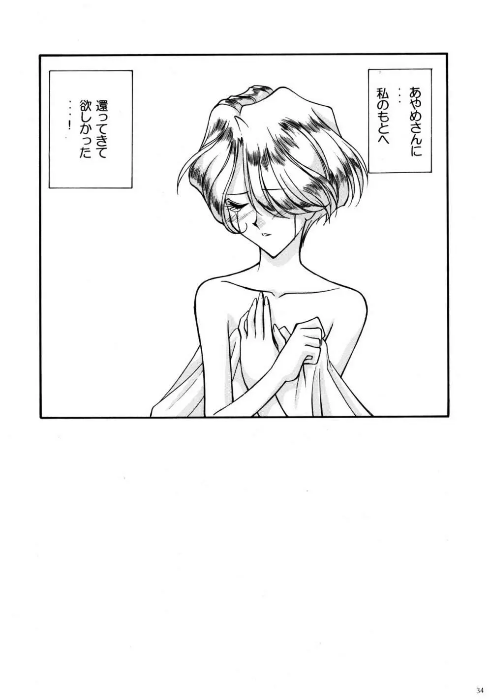 鉄甲無敵マリア - page32