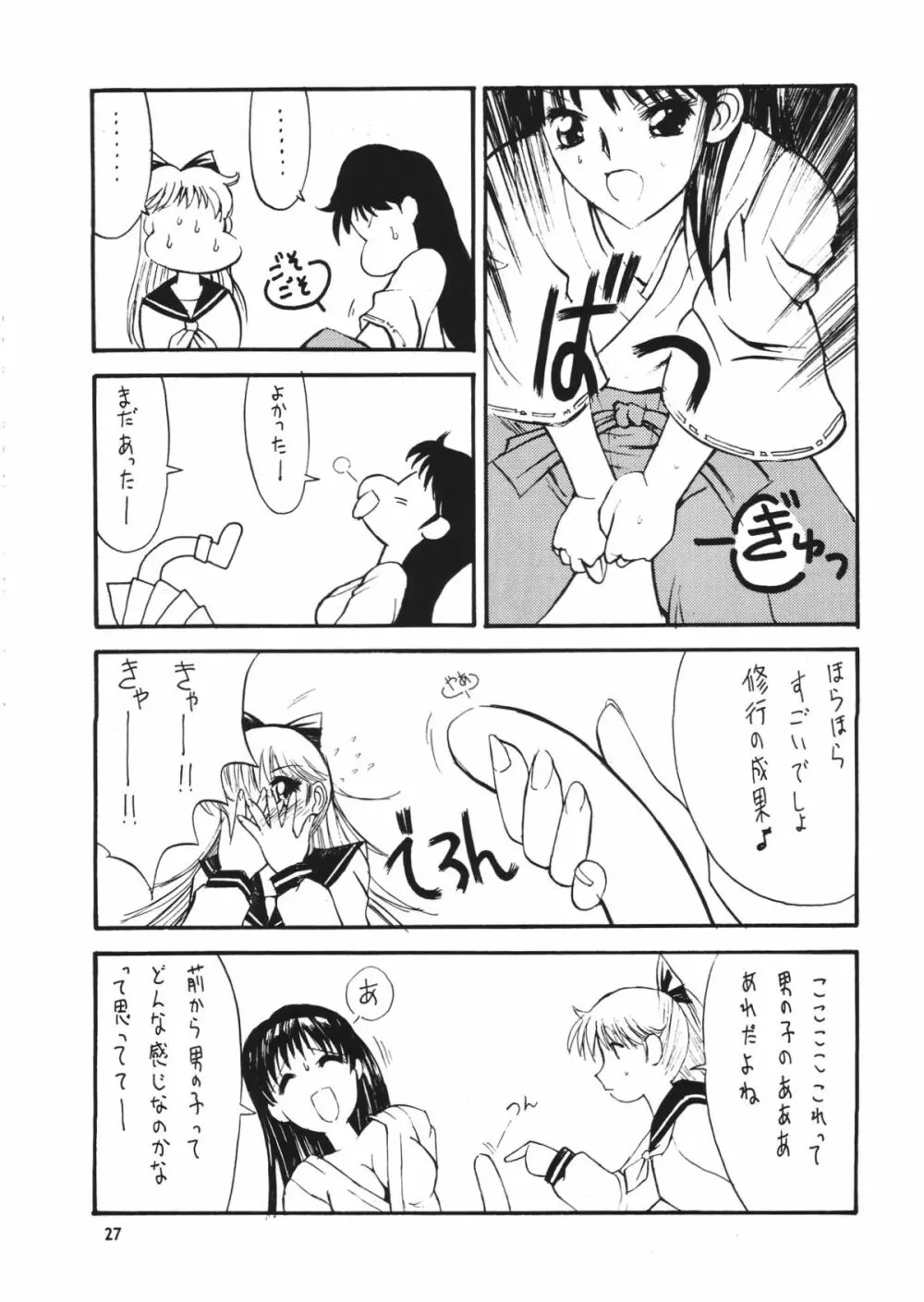 フェイバリット・ヴィジョンズ３ - page29