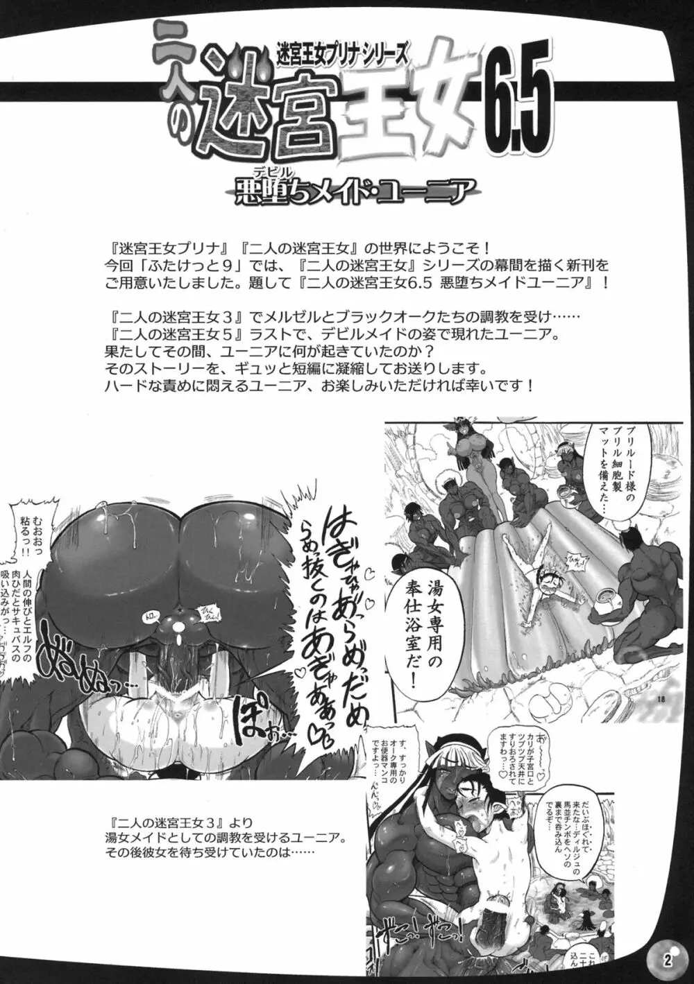 二人の迷宮王女6.5～悪堕ちメイド・ユーニア～＋ペーパー - page2