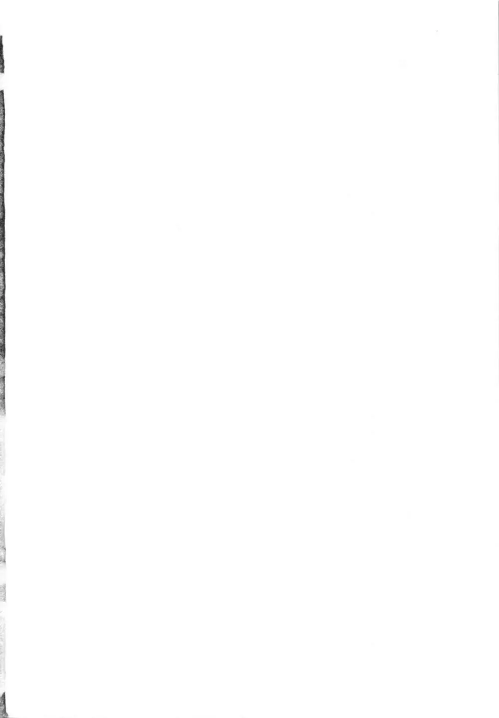 BRIEFINGS - page2