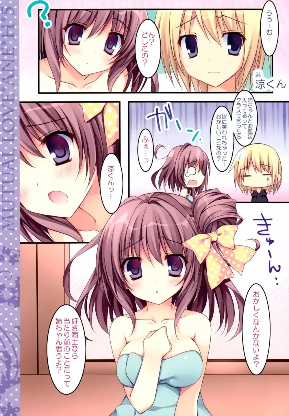 相思相愛姉えっち5 - page5