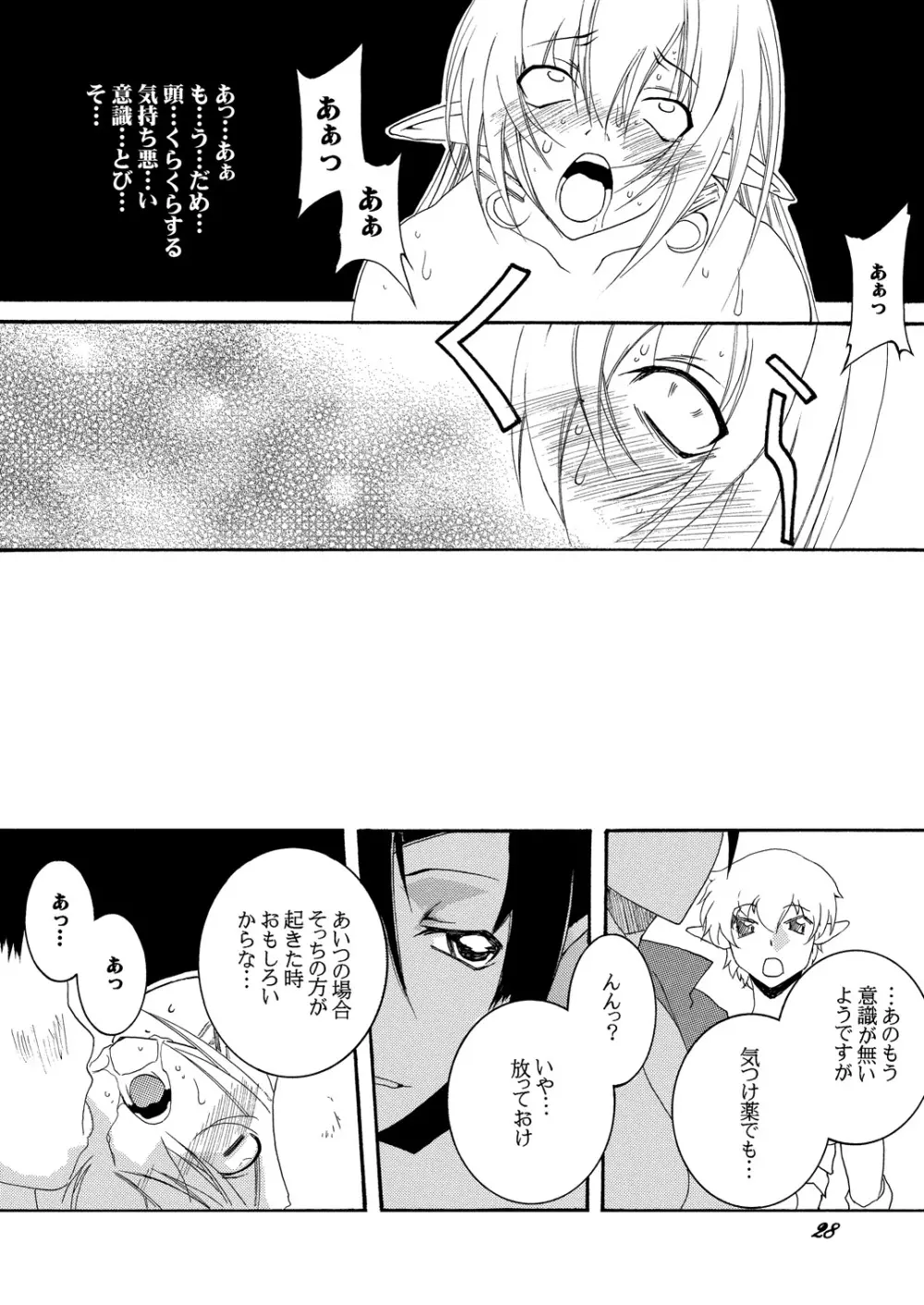 奴隷騎士スティアII - page27