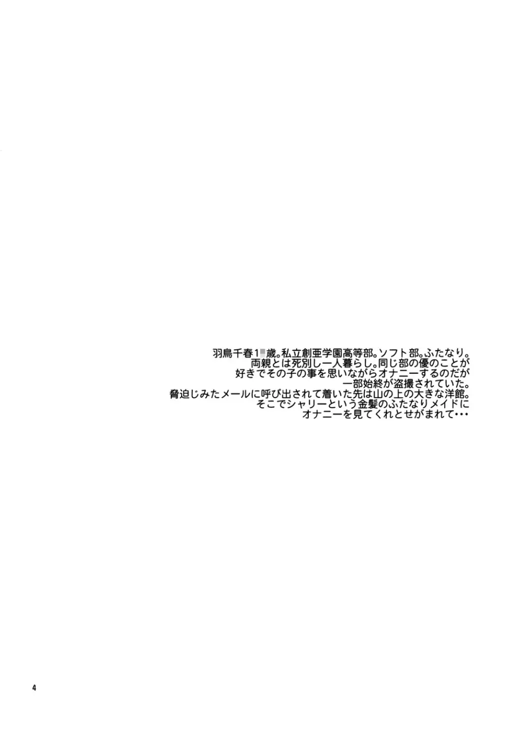 NDG03* - page3
