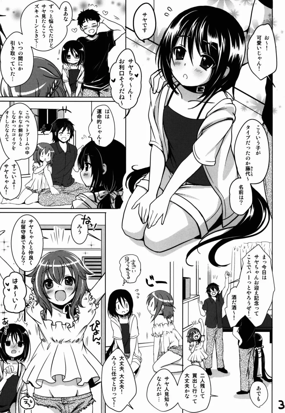 ぺっとらいふ - page4