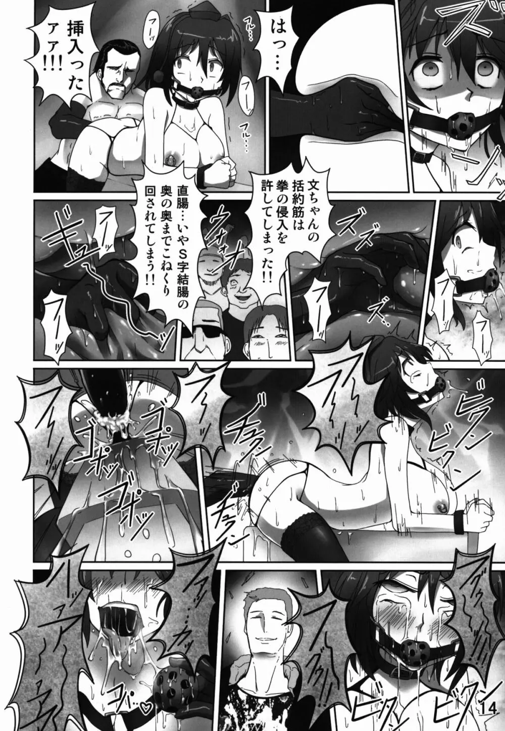 経肛投与 - page14