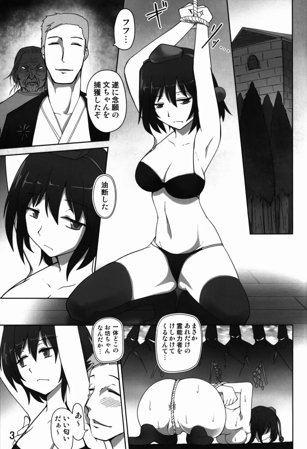 経肛投与 - page3